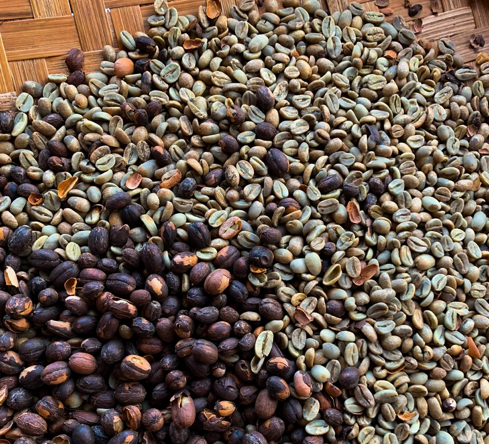 Hulling, part of the TuangCoffee story in Manggarai, Flores