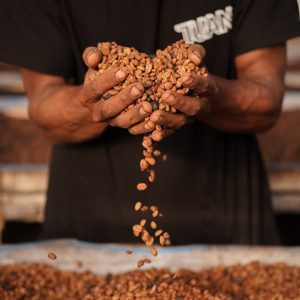 Tuang Coffee - Drying Process Black Honey